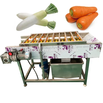Roller Brush Type Konjac Taro Potato Washing Peeling Machine Vegetable Washer